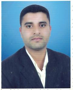 Organizing Committee